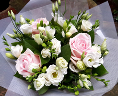 Classical Style-HTB1014